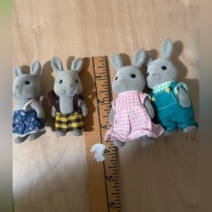 Sulvanisn family rabbit family